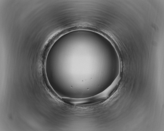X0000115811115200911131415