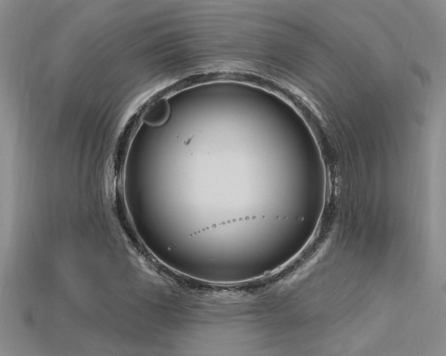 X0000115811117200911131415