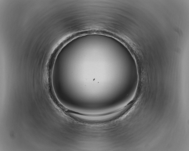 X0000115811118200911131415