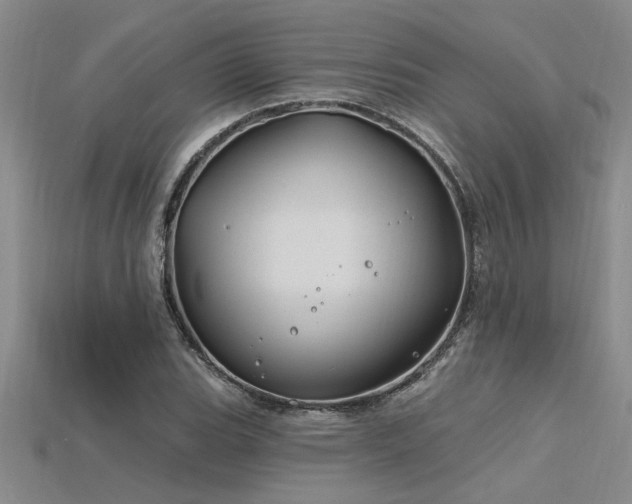 X0000115811119200911131415