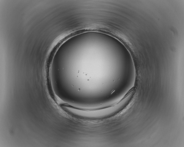 X0000115811122200911131415