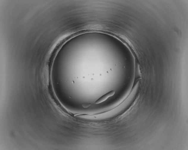 X0000115811123200911131415