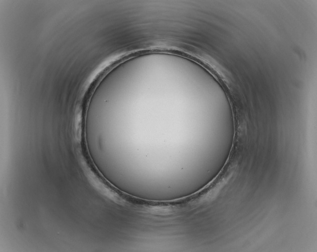 X0000115811126200911131415