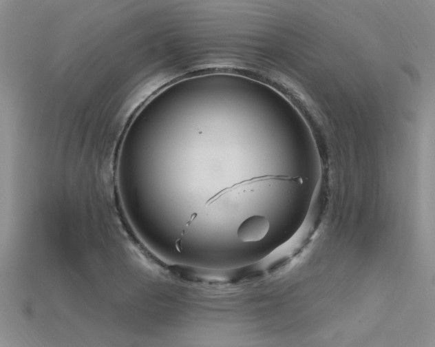 X0000115811129200911131415