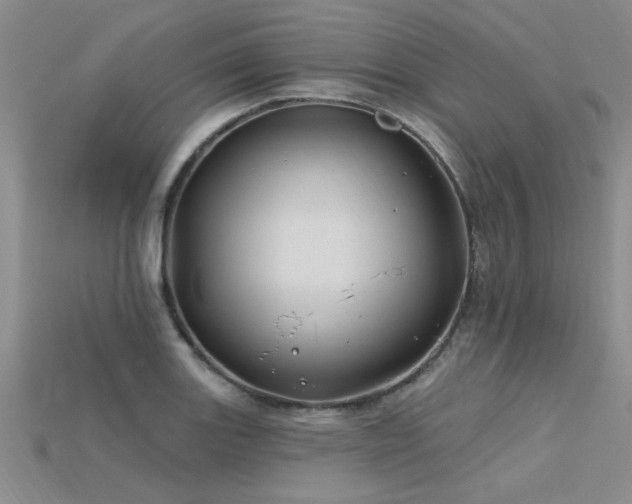X0000115811131200911131415