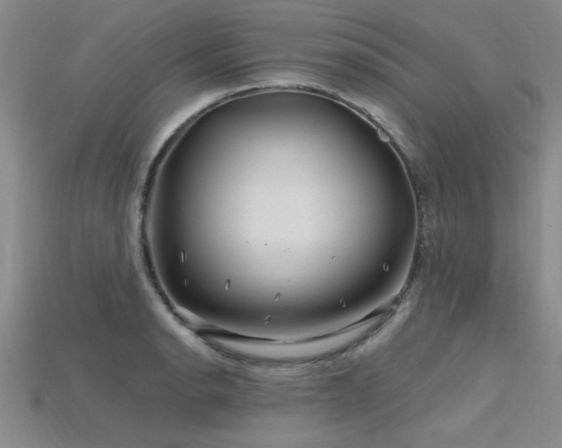 X0000115811134200911131415