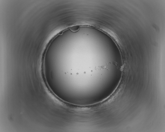 X0000115811135200911131415