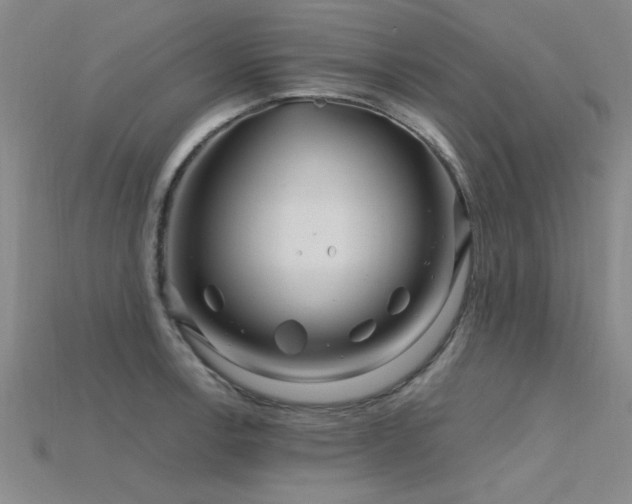X0000115811138200911131415