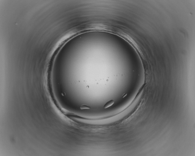 X0000115811139200911131415