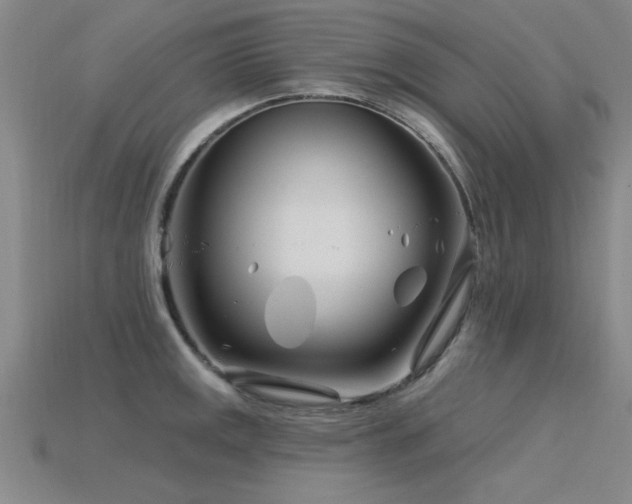 X0000115811141200911131415