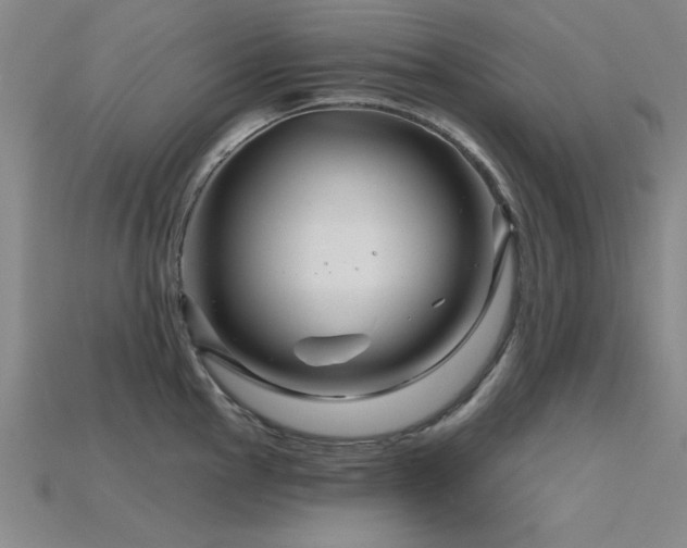 X0000115811145200911131415