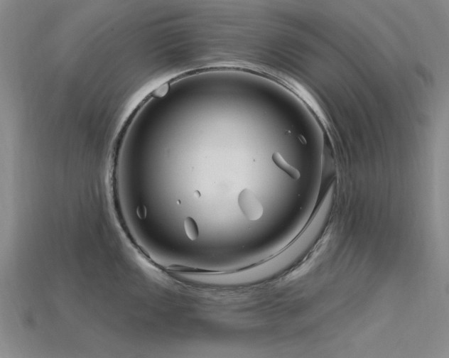 X0000115811149200911131415
