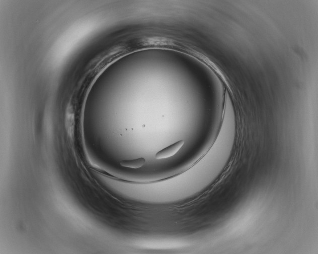 X0000115811151200911131415