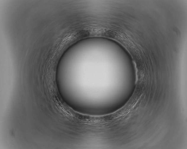 X0000115811153200911131415
