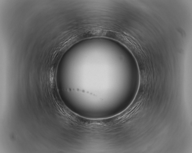 X0000115811154200911131415