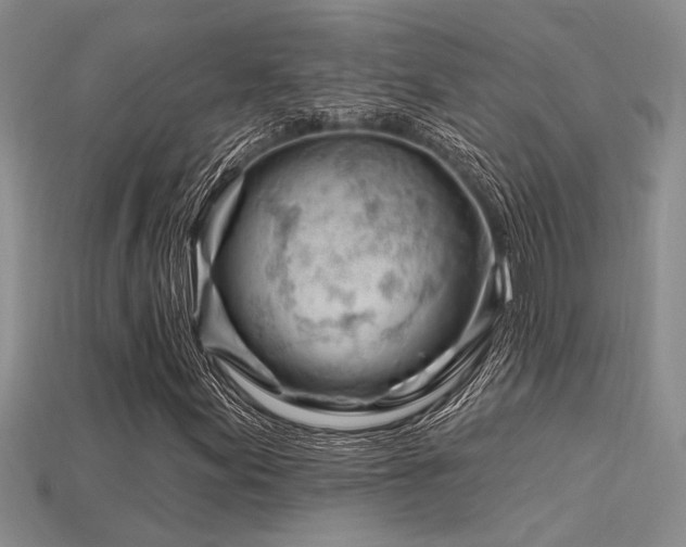 X0000115811155200911131415