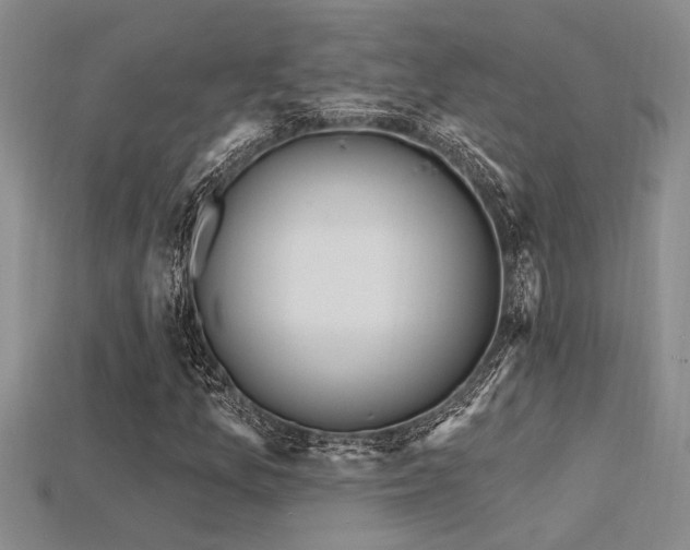 X0000115811157200911131415