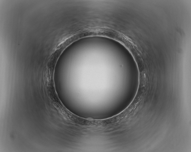 X0000115811158200911131414