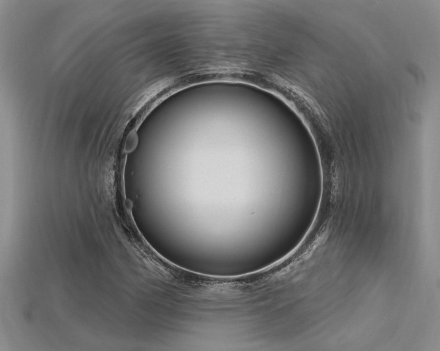 X0000115811162200911131414