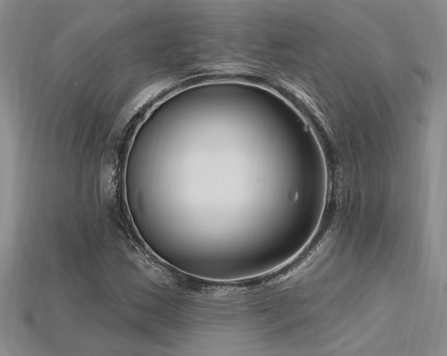 X0000115811163200911131414