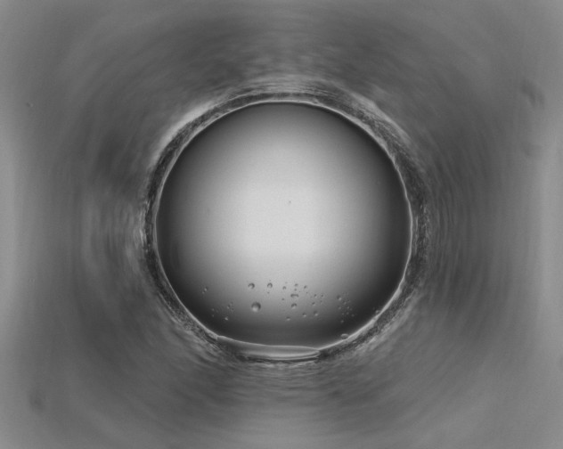 X0000115811166200911131414