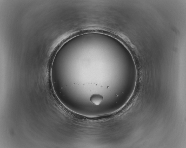 X0000115811167200911131414