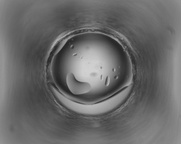 X0000115811168200911131414