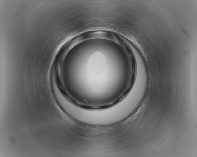X0000115811181200911131414