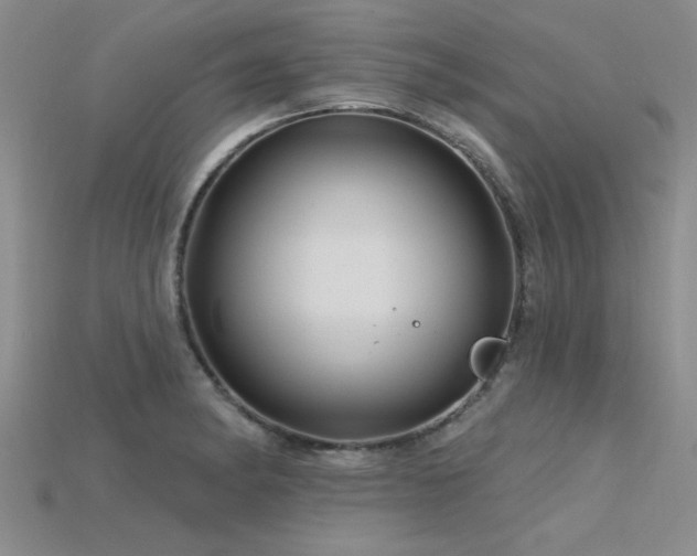 X0000115811182200911131414