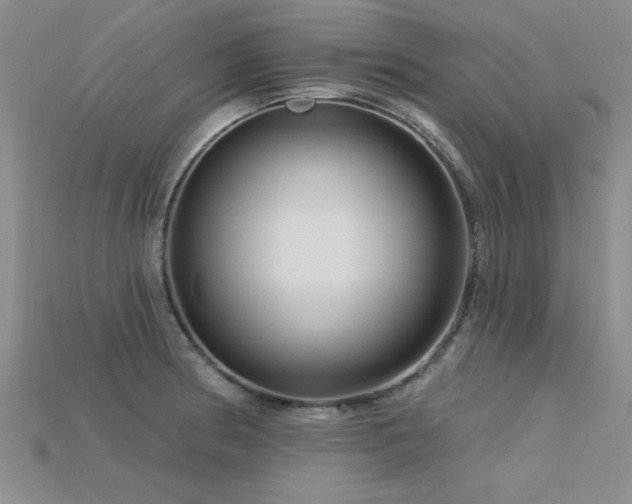 X0000115811186200911131414