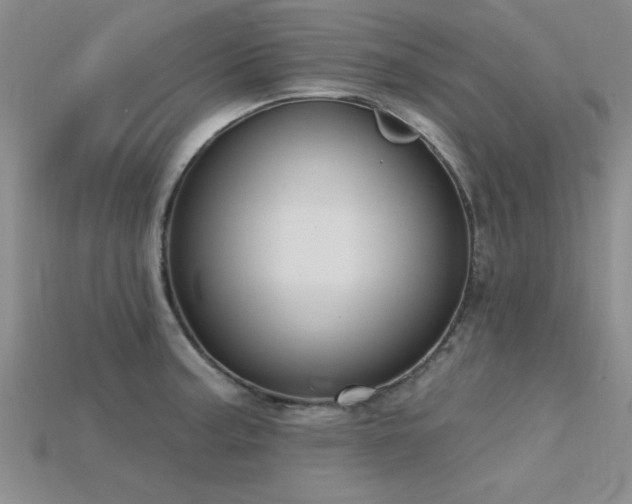 X0000115811187200911131414