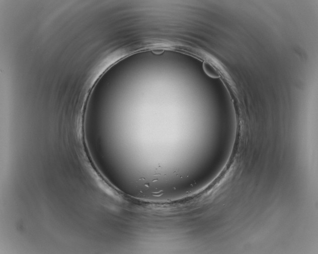 X0000115811194200911131414