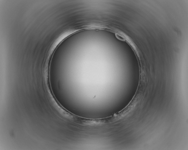 X0000115811195200911131414