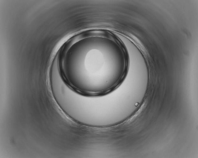 X0000115811196200911131414