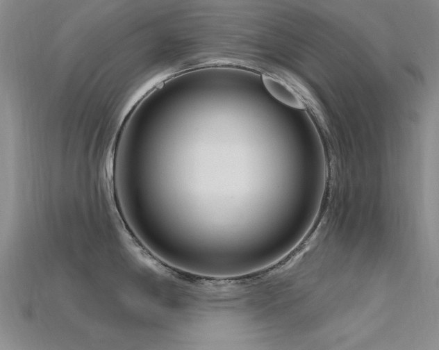 X0000115811198200911131414