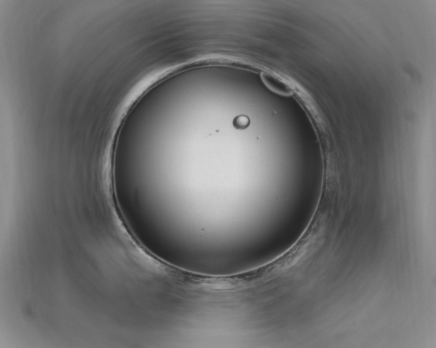 X0000115811199200911131414