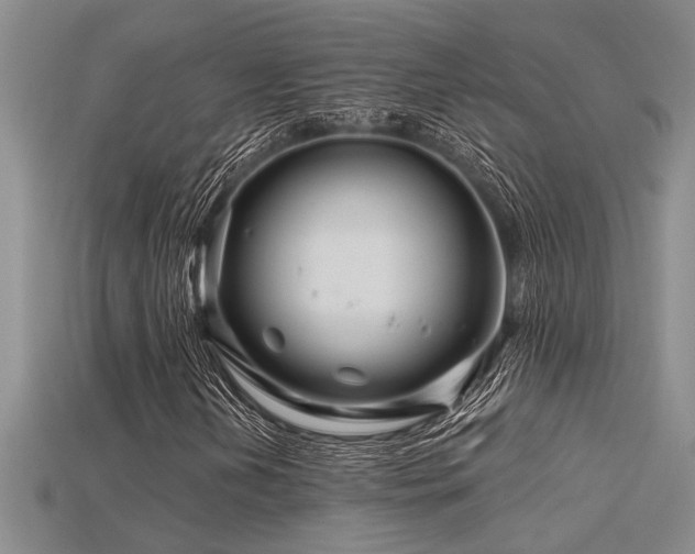 X0000115811202200911131413
