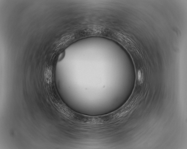 X0000115811203200911131413