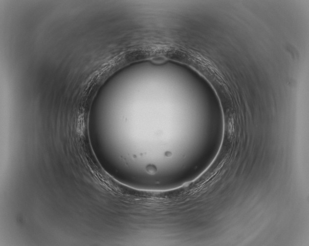 X0000115811204200911131413