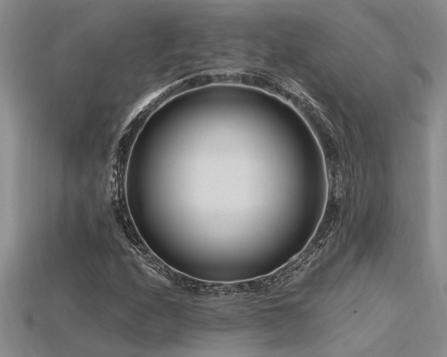 X0000115811208200911131413