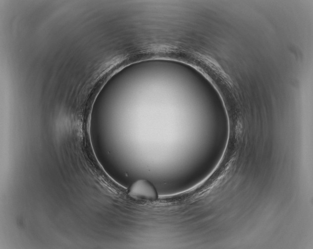 X0000115811209200911131413