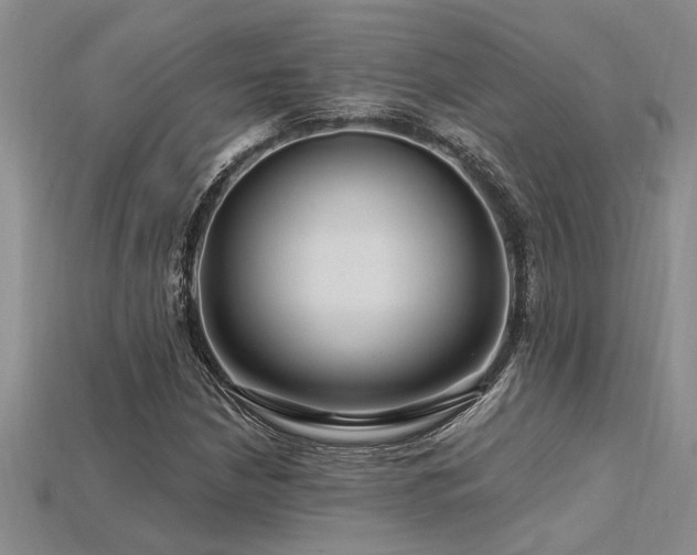 X0000115811210200911131413