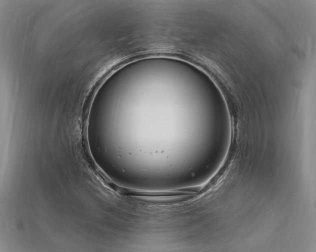 X0000115811212200911131413