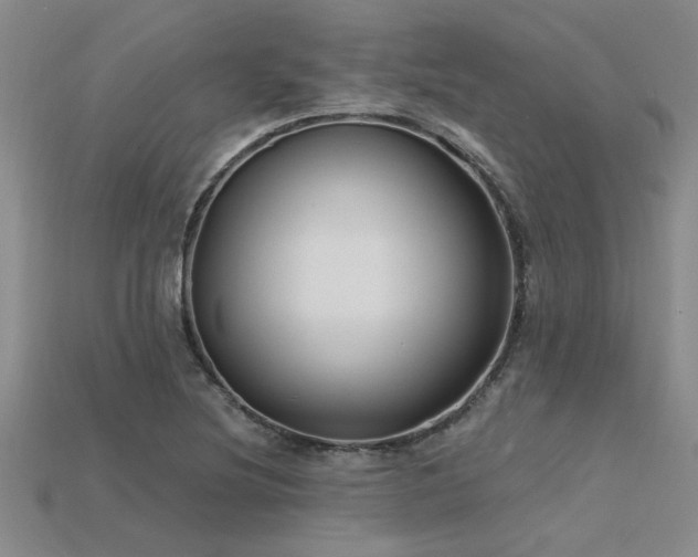 X0000115811220200911131414