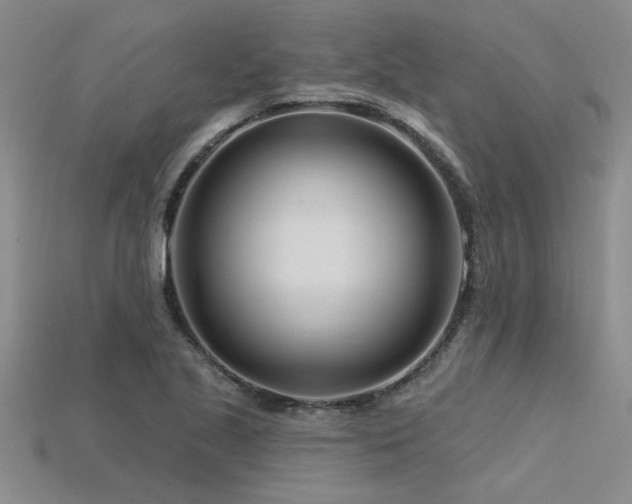 X0000115811221200911131414