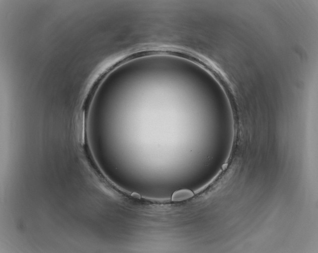 X0000115811223200911131414