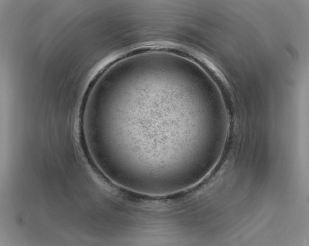 X0000115811229200911131414