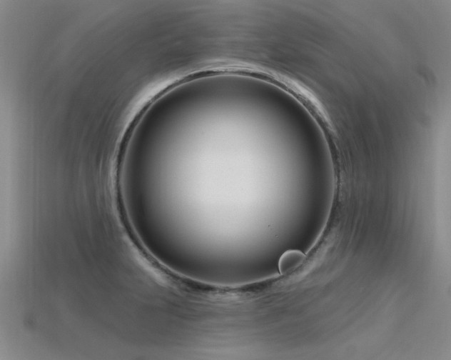 X0000115811231200911131414