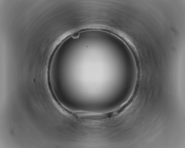 X0000115811237200911131414