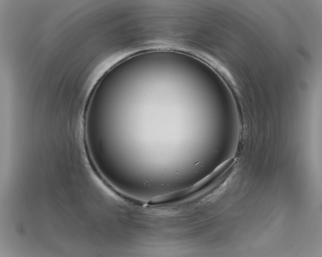 X0000115811239200911131414